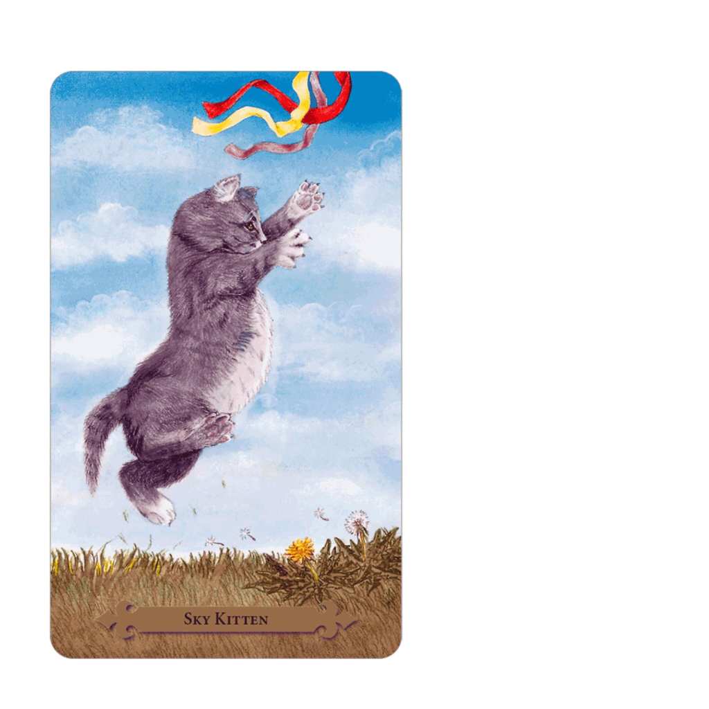 「熱情」與「使命感」